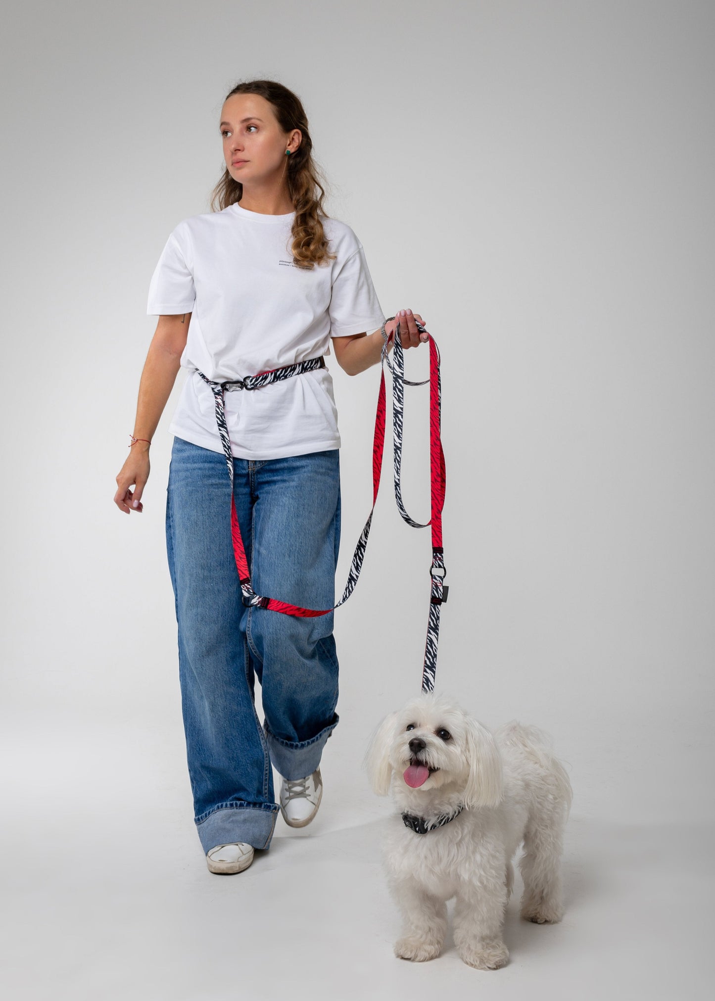 Adjustable Hands Free Dog Leash - ZEBRA