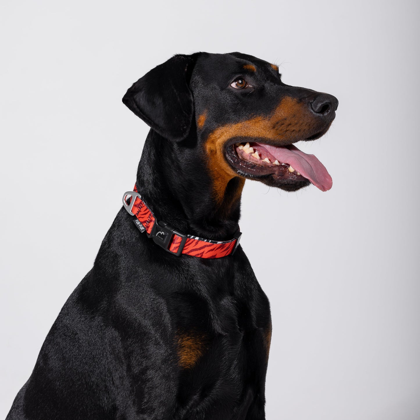 Adjustable dog collar - RED TIGER